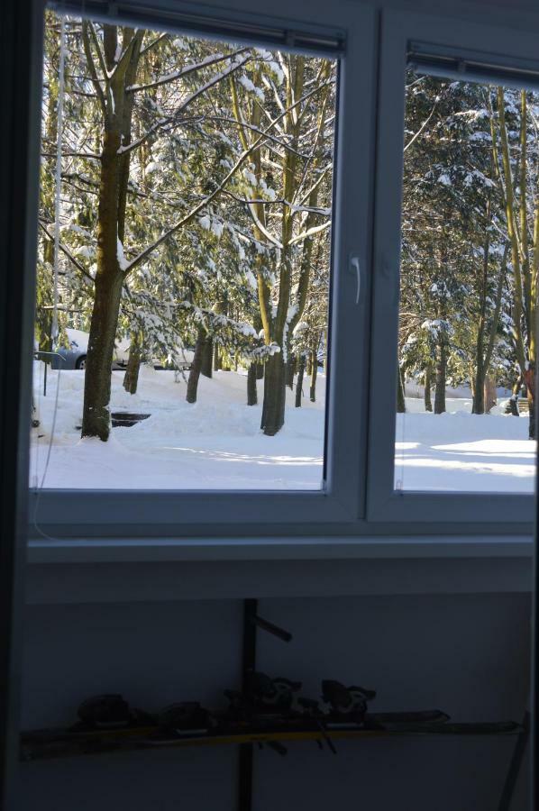 Apartament Izerski Klimat Świeradów-Zdrój Exterior foto